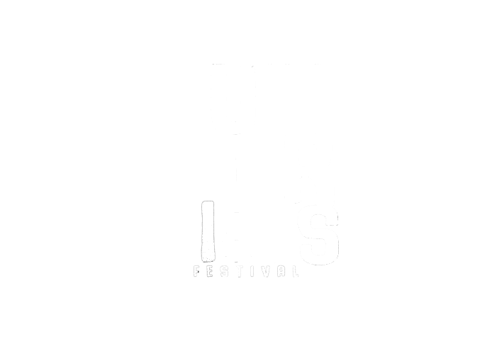 Summer Vibes Festival
